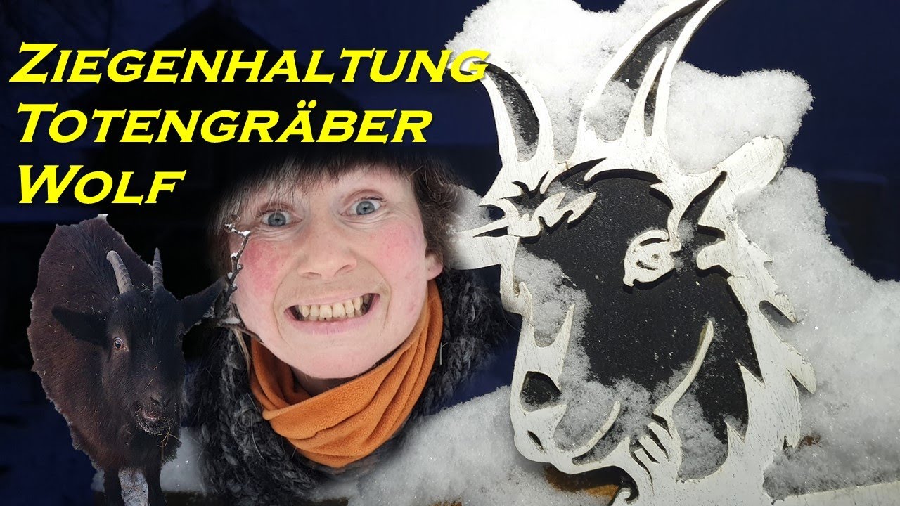 Ziegenhaltung fuer Anf&auml;nger, wieder Totengr&auml;ber und Neues vom Wolf