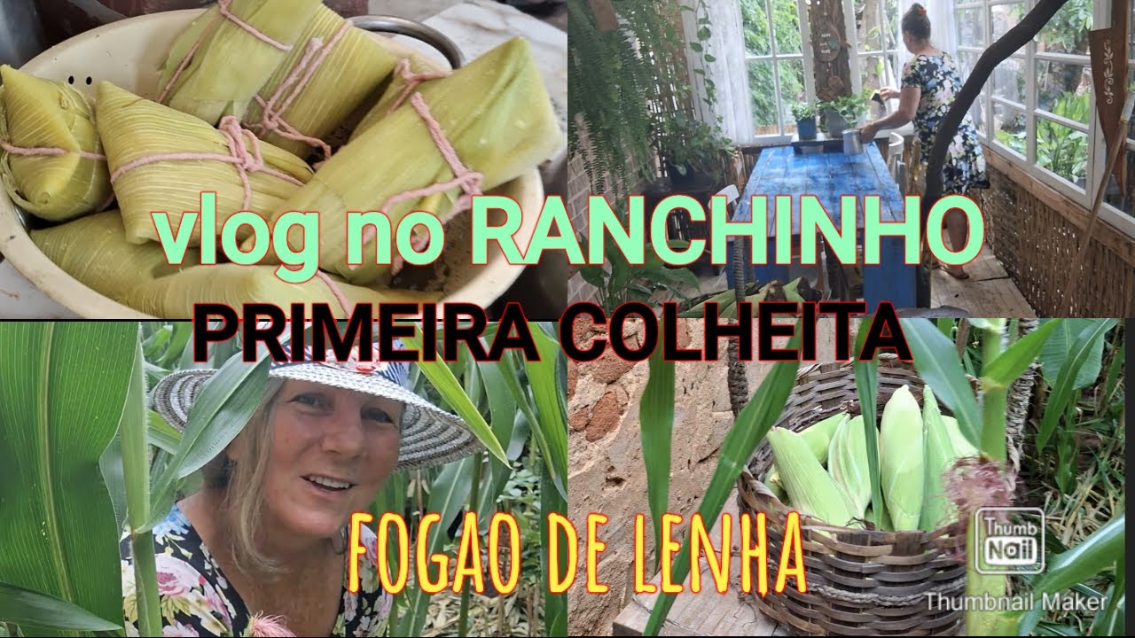 VLOG NO RANCHINHO+COLHENDO MILHO+PAMONHA+ALMOCO
