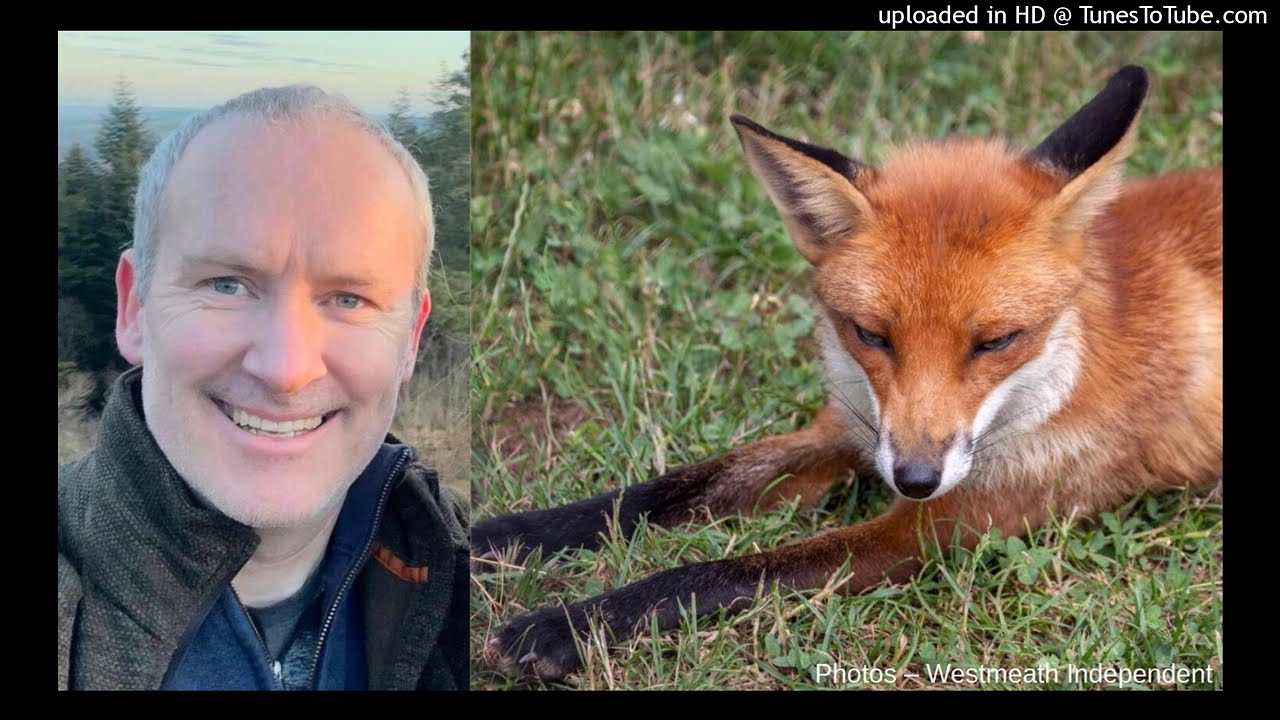 The 3 big parties whip systems – on fox hunting? / Red C poll – Ruairí Ó Leocháin @ Near FM (2026)