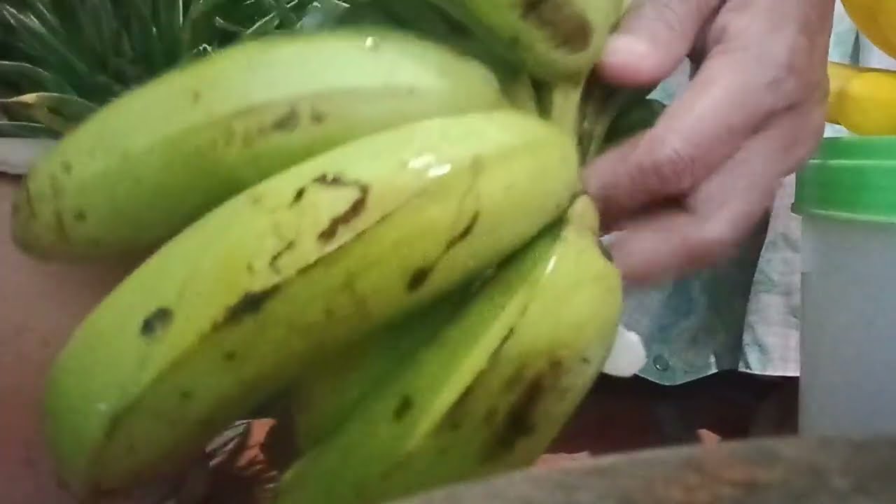 Ini Adalah Makanan Untuk Kapan Pagi