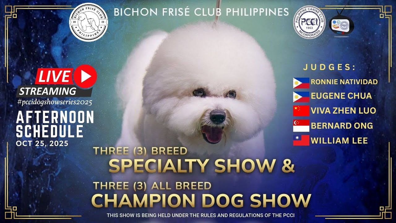 BICHON FRISE CLUB PHILIPPINES INC.