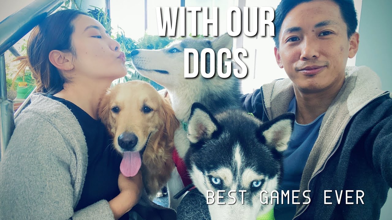 How i spent time with my family 🥰/ fun games with Dogs/ best games ever/ dog lover 🦮🐶🐾