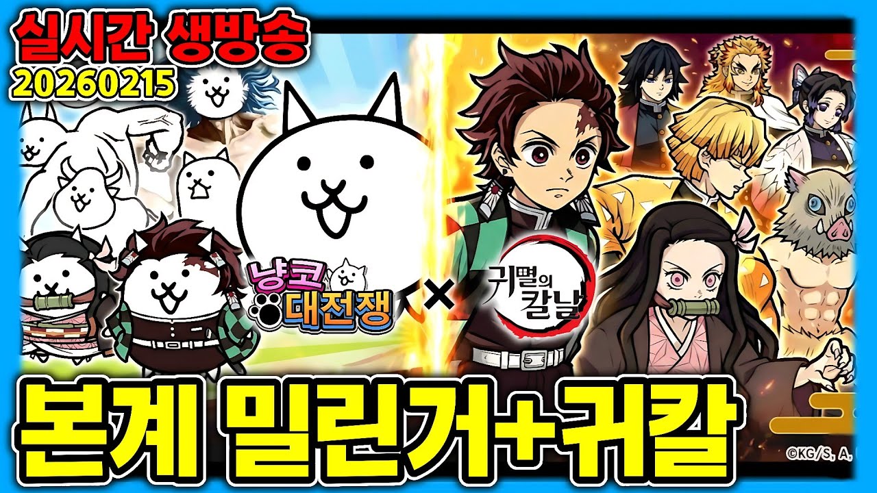 [냥코] 밤에 리세하기전에 한판 해야할거 잠깐~~
