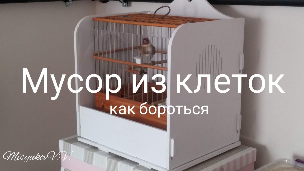 Как бороться с мусором из клеток