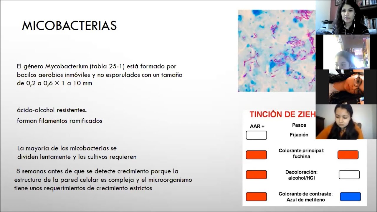 Generalidades de las Micobacterias