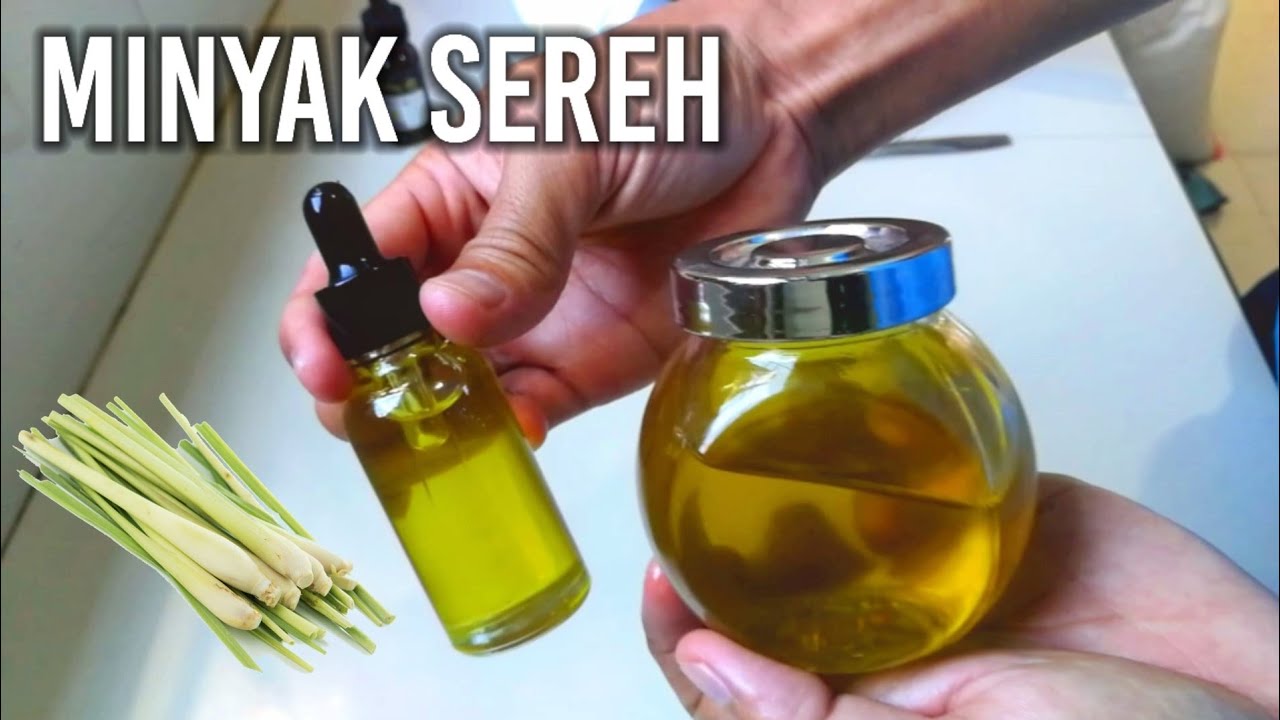 DIY Cara membuat minyak sereh, untuk rambut dan kulit | How to make Lemongrass oil at home (Cara1).