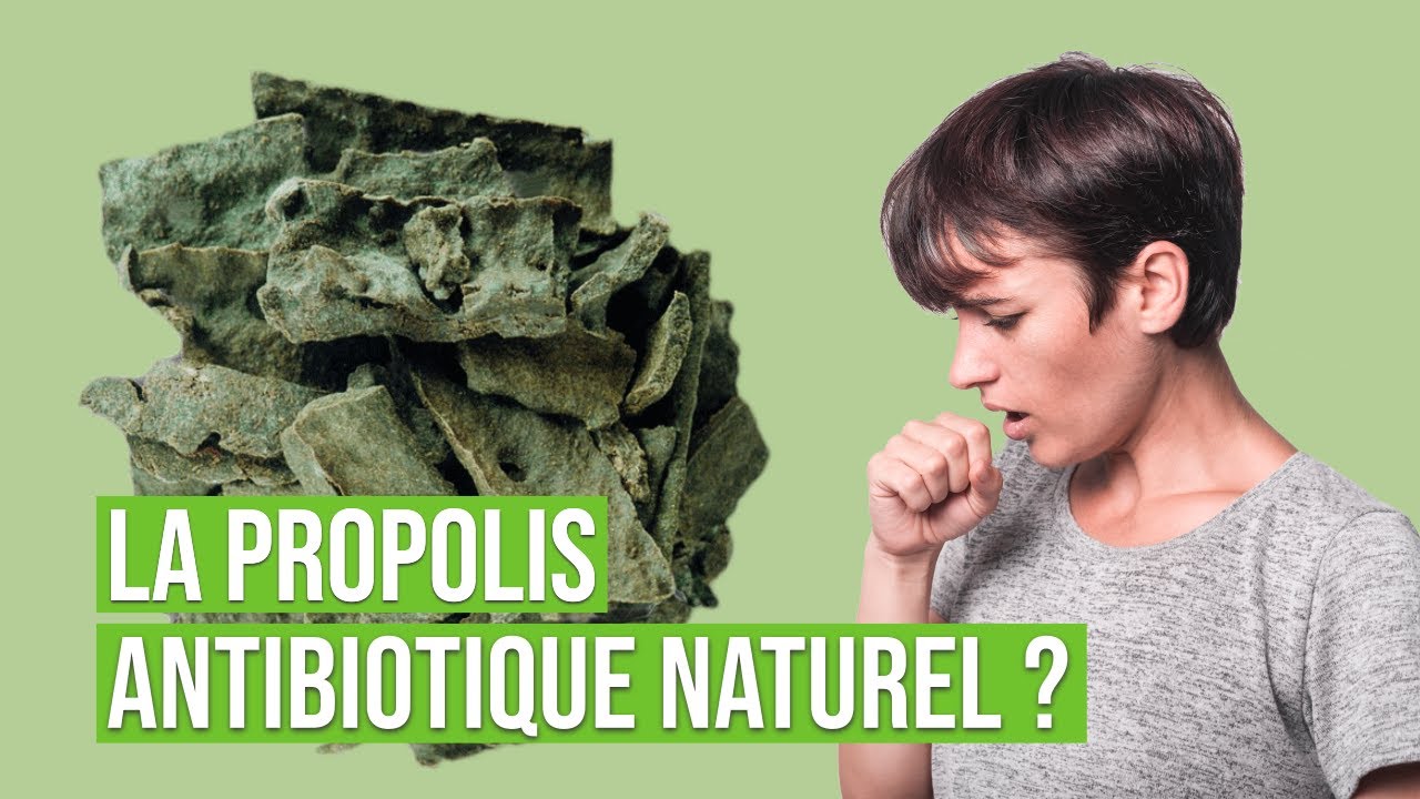 Qu'est-ce que la propolis ? | L'allié de la ruche pour votre santé | Bienfaits et applications