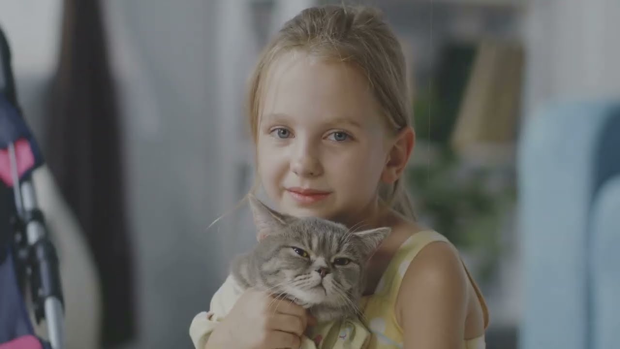 Lily's Rainy Day Adventure  A Kitten's Heroic Tale