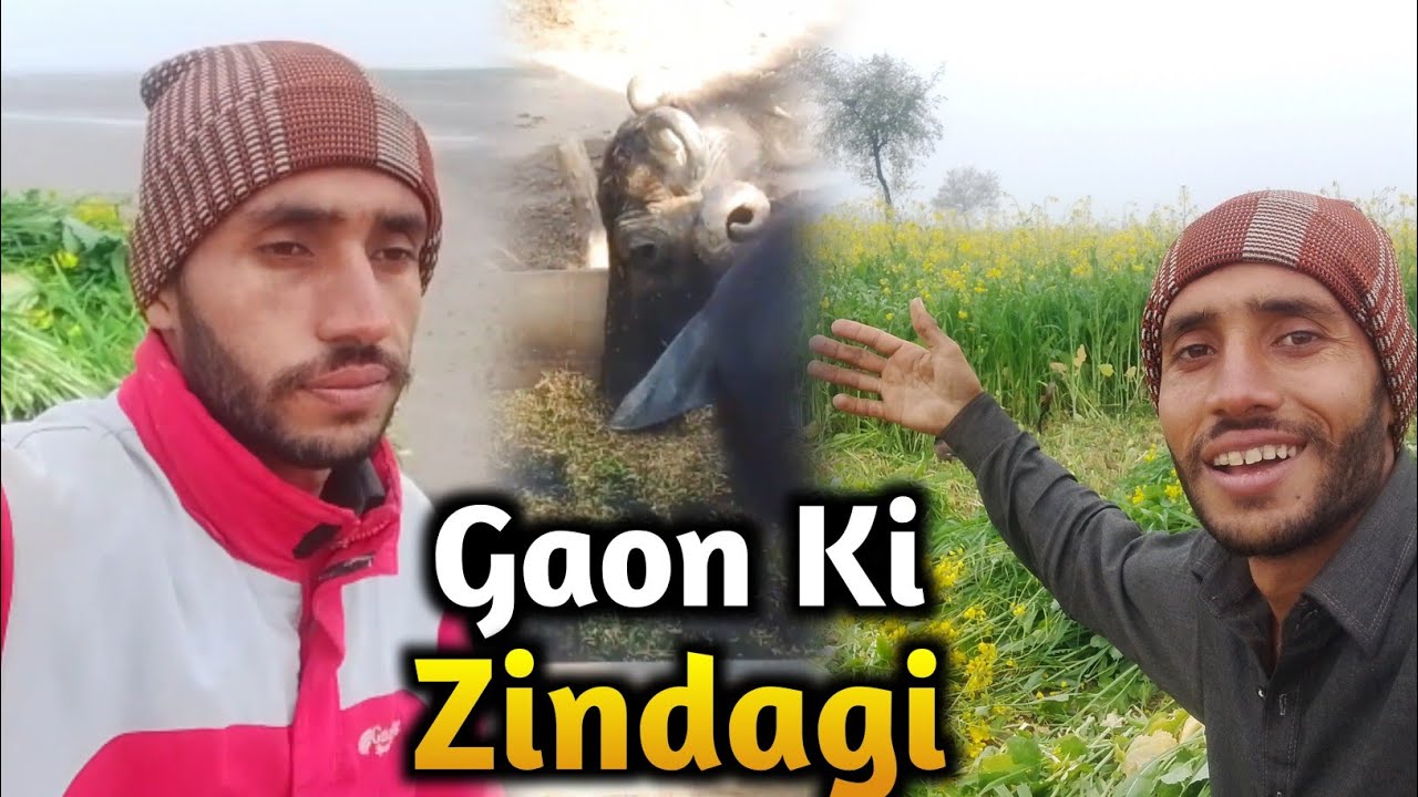 Gaon Ki Sachi Zindagi | Subah Bhainson Ka Doodh Se Shaam Tak Mehnat | Shoaib Ali Da Vlogs