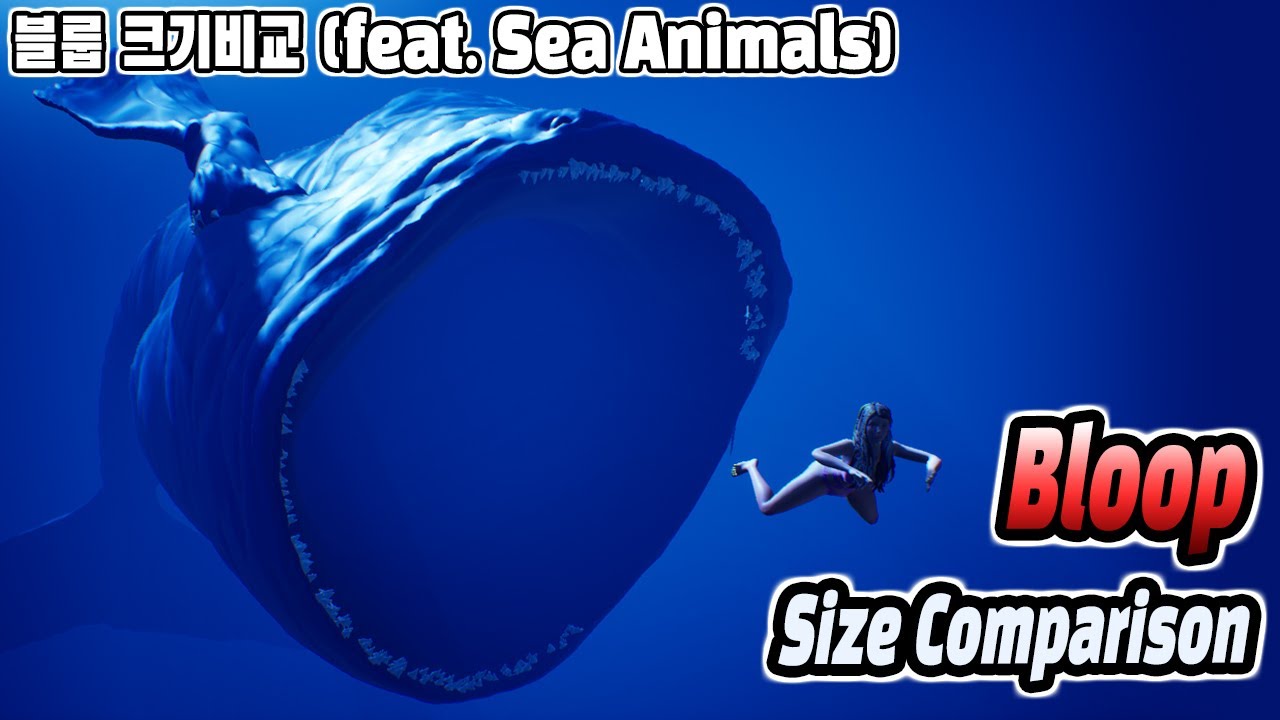 Bloop Size Comparison (블룹 크기 비교) (feat. Sea Animals)