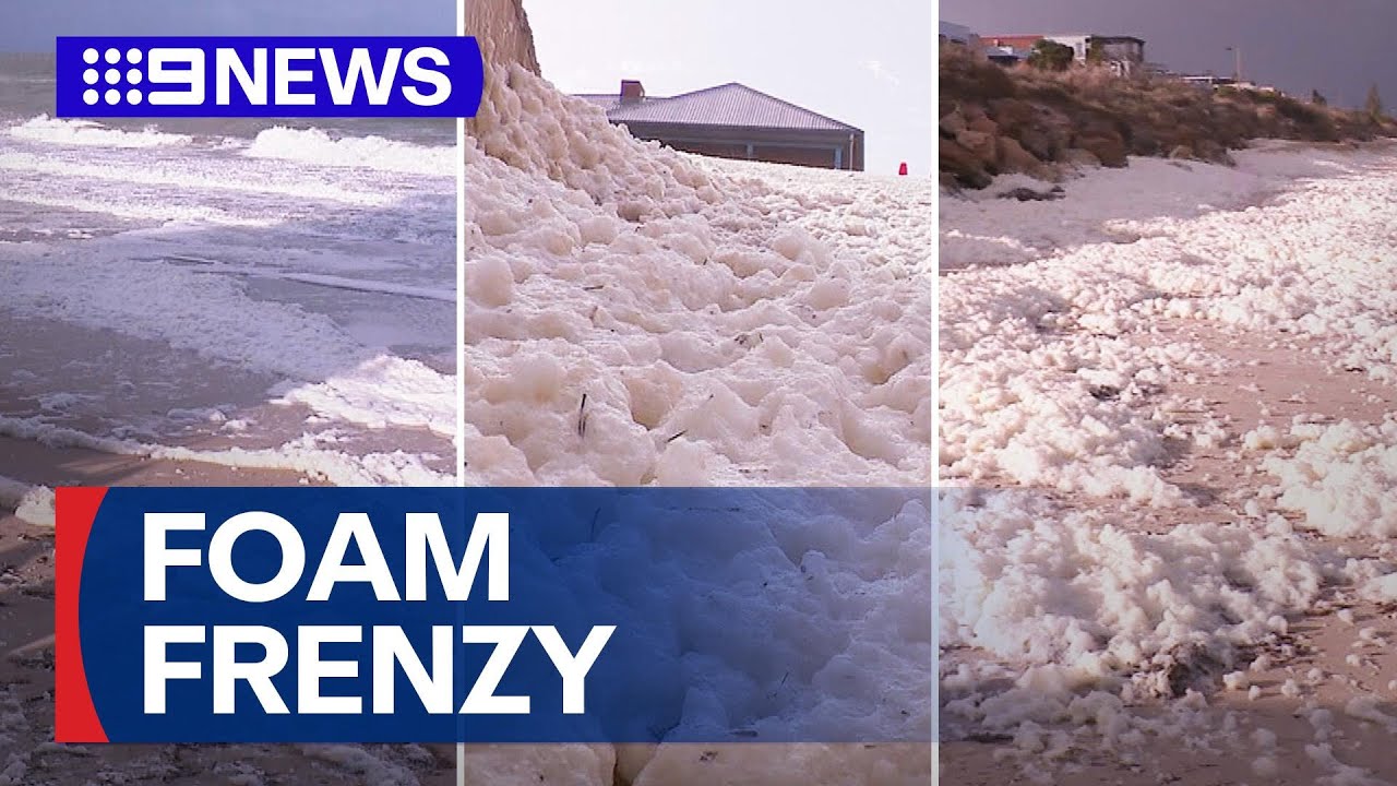 Foam covering SA beaches raises algal bloom questions | 9 News Australia
