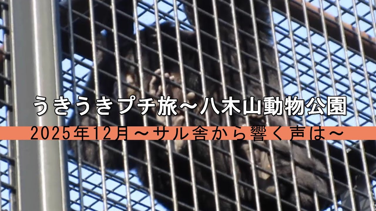 うきうきプチ旅～八木山動物公園　2025年12月～サル舎から響く声は～
