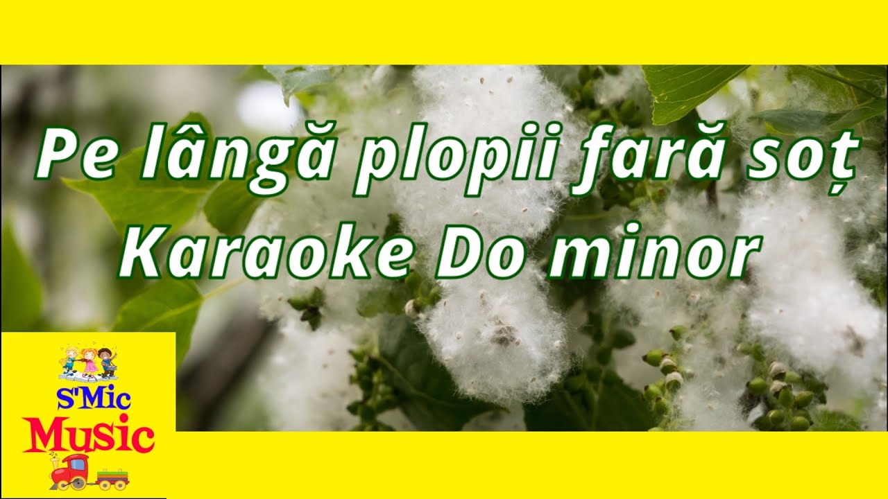 Pe langa plopii fara sot - Karaoke Do minor - S'Mic Music