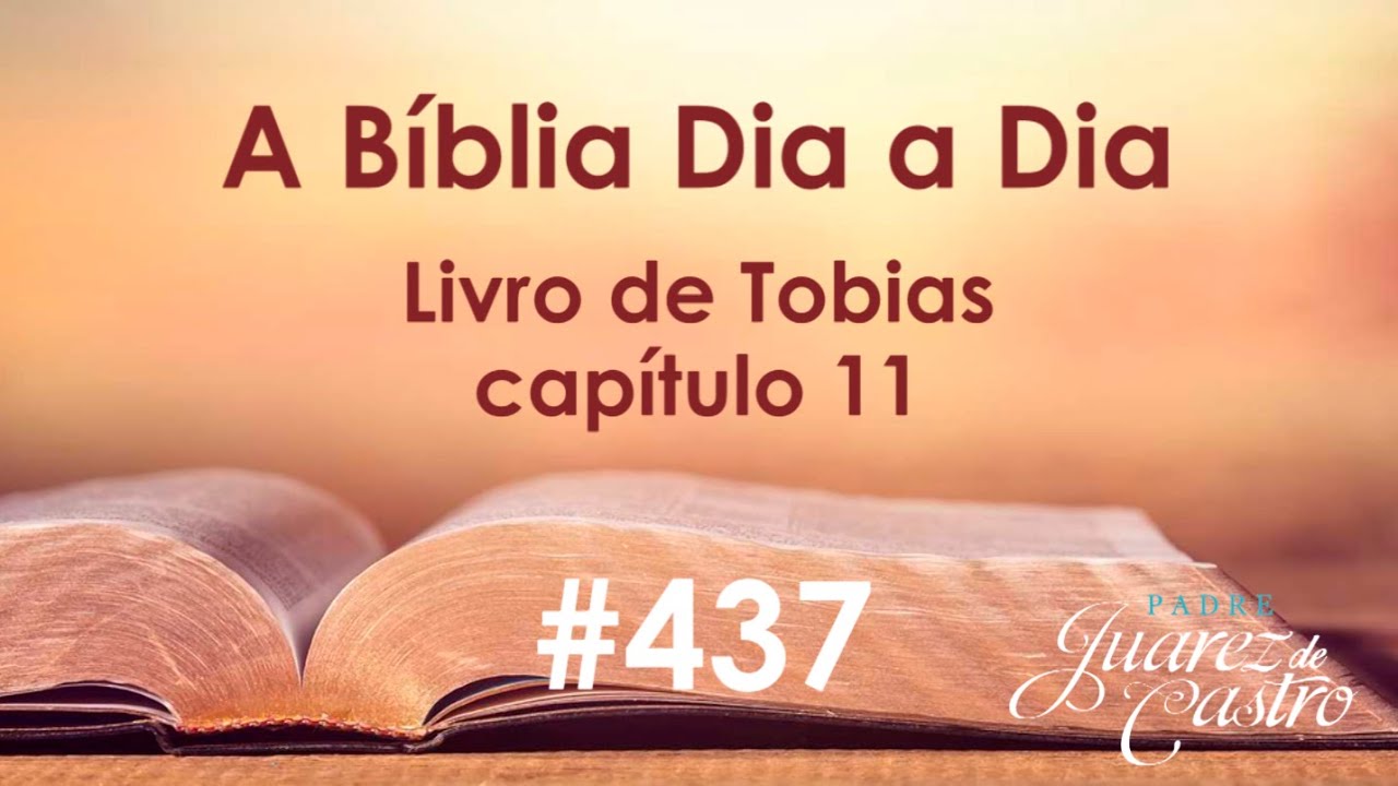 Curso Bíblico 437 - Livro de Tobias 11 - A cura de Tobit - Padre Juarez de Castro