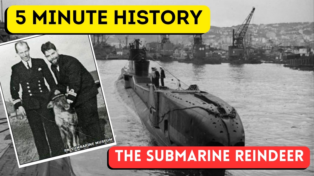 The Soviet Submariner Deer (No that is not clickbait) - 5 Minute History