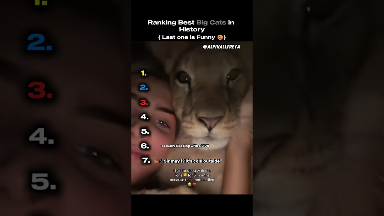 Ranking Best Big Cats in History