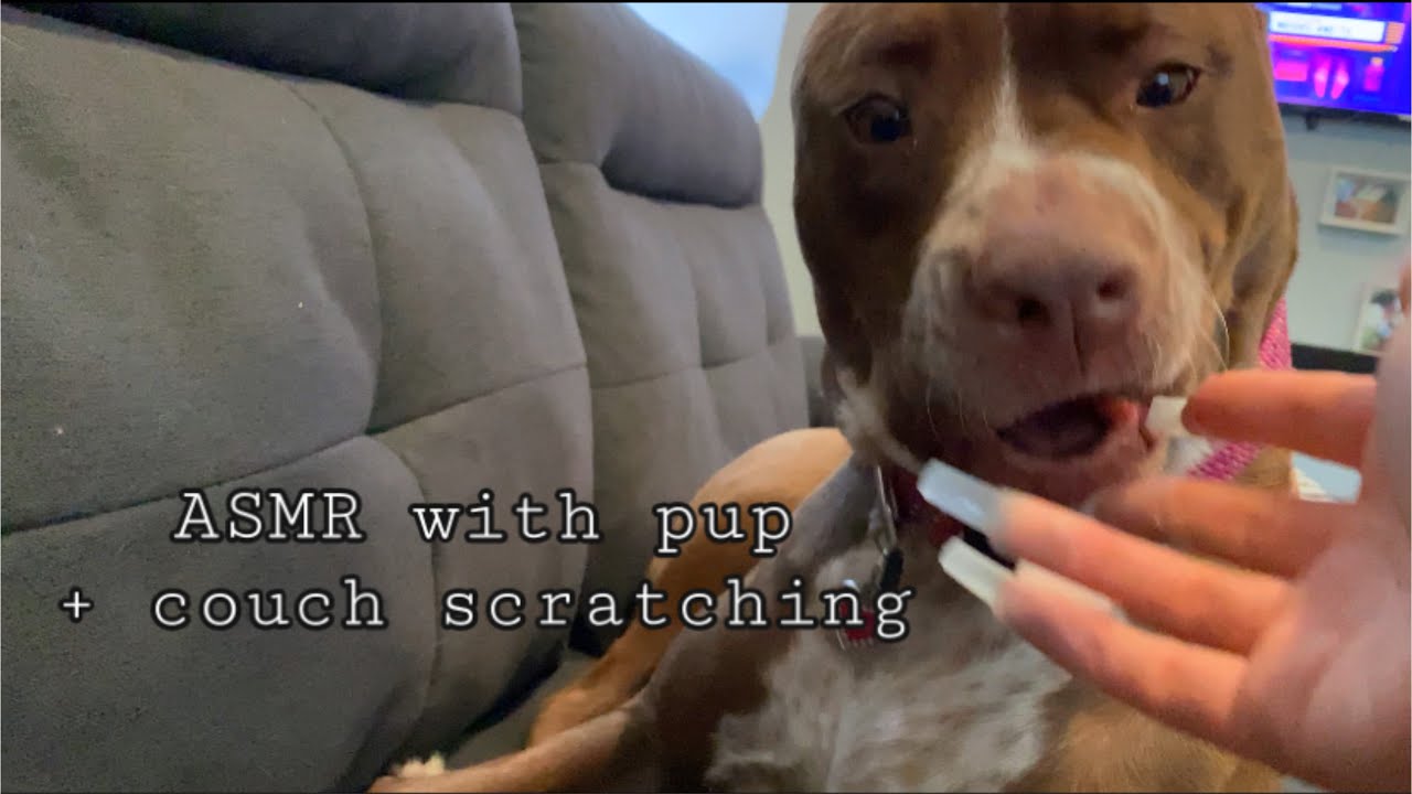 ASMR couch scratching + dog scratching/triggers with camera tapping/finger flutters!!