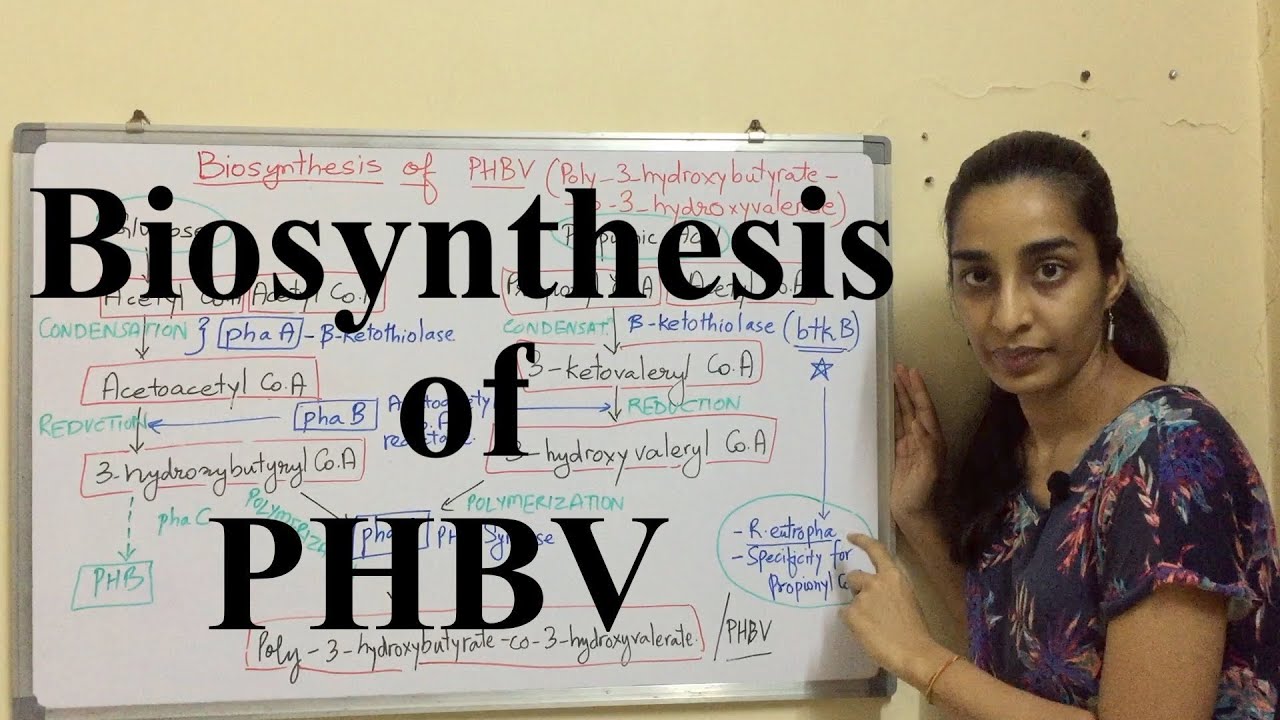 Biosynthesis of PHBV | Biosynthesis of PHA | Science Land