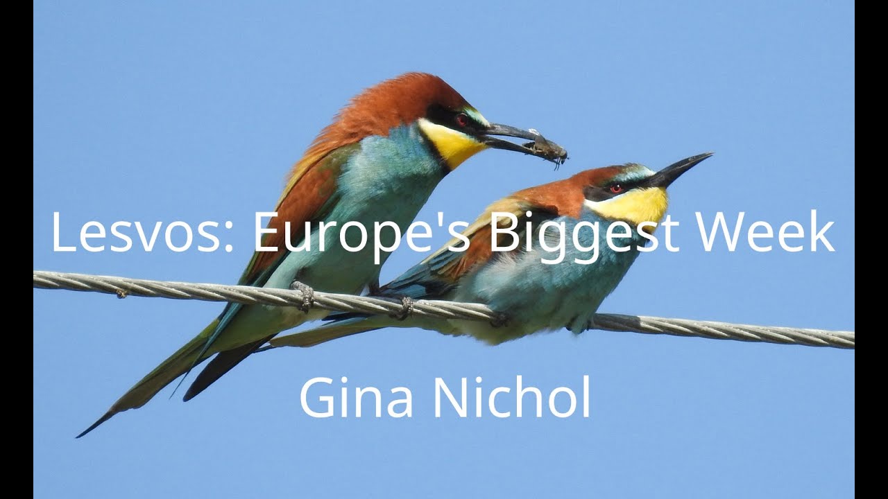 Lesvos: Europe's Biggest Week