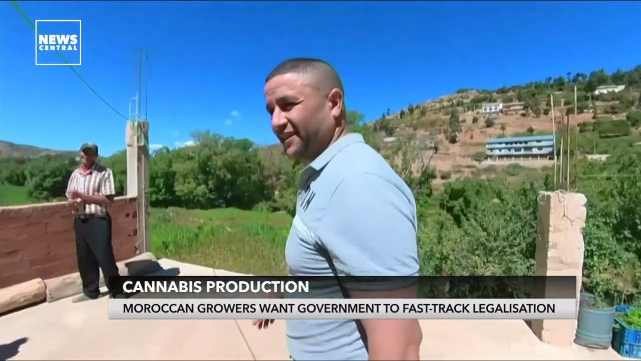 Cannabis Production: Moroccan Growers Want Government To Fast-Track Legalisation