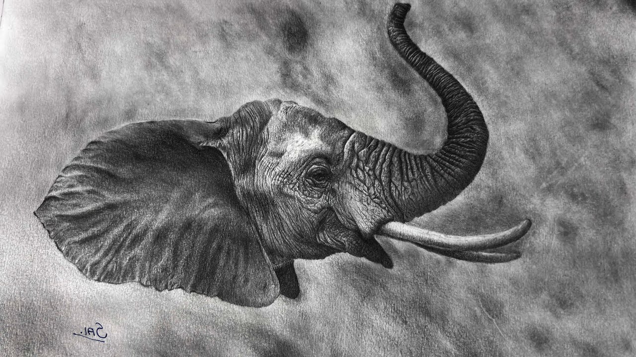 From Blank Paper to Realistic Elephant | Pencil Drawing Tutorial