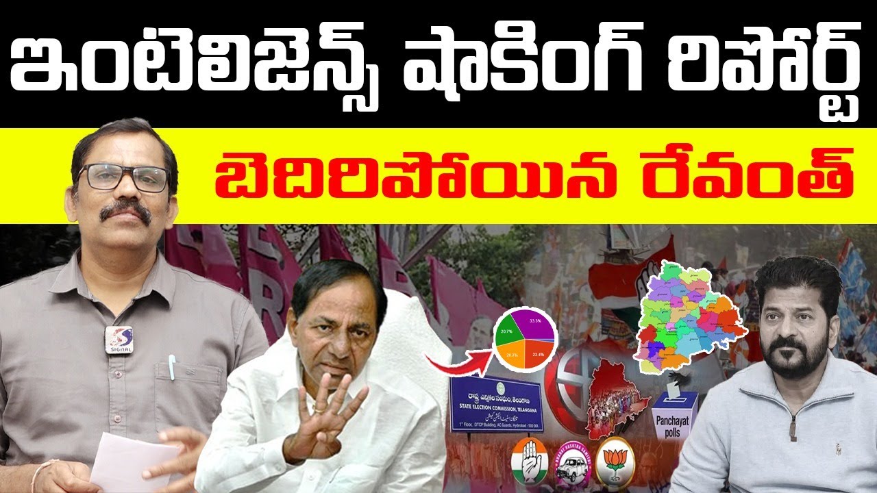 🚨🚨 Burning issue : Intelligence Shocking Report On Municipal Elections || Revanth Reddy || Signal TV