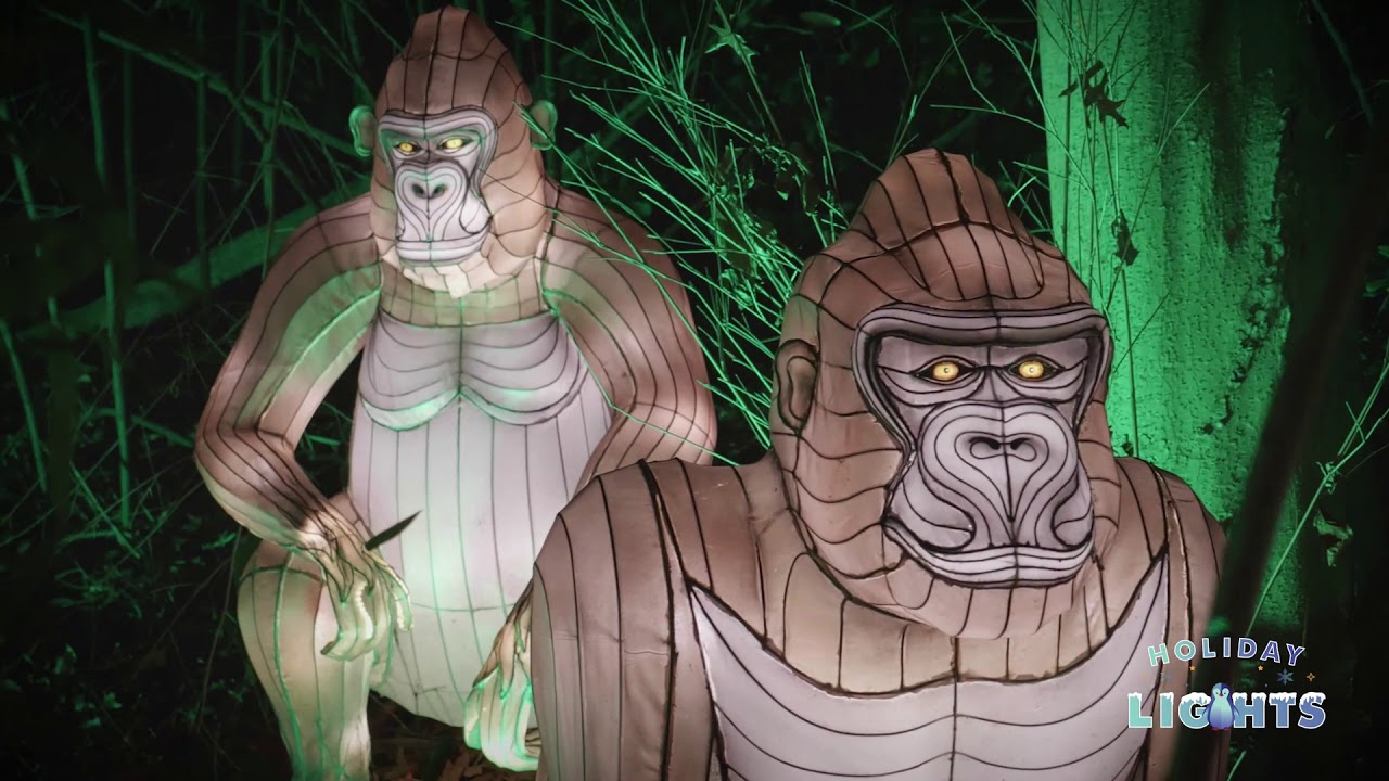Holiday Lights 2020 | Bronx Zoo