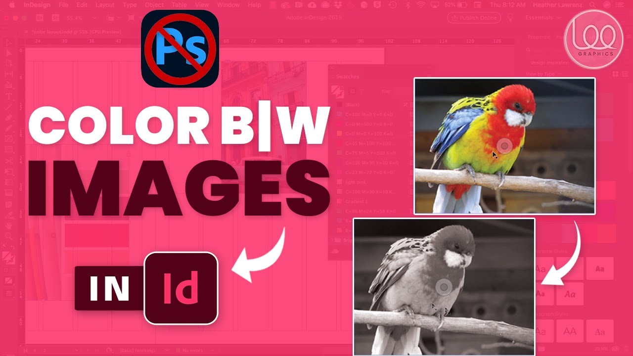 One Click Magic! Colourful images into Black & White in Adobe InDesign - Lee Graphics