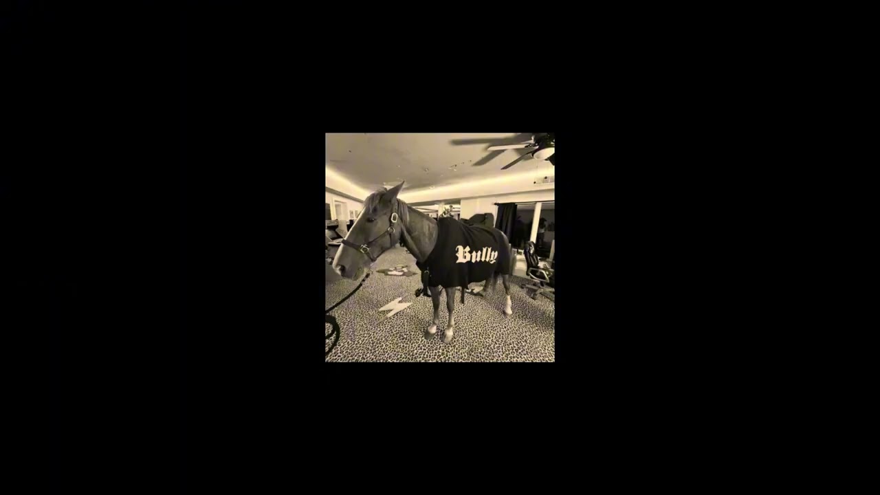 KIZARU x ALBLAK 52 x FRIENDLY THUG 52 NGG TYPE BEAT - 13