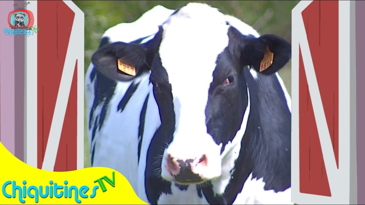Sonidos de Animales - Los Animales de la Granja