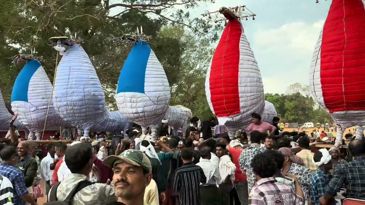 Chinakathoor pooram 2025| poorakaazchakal | kuthirakali | theru | kaalakali| aanapooram| kudamaattam
