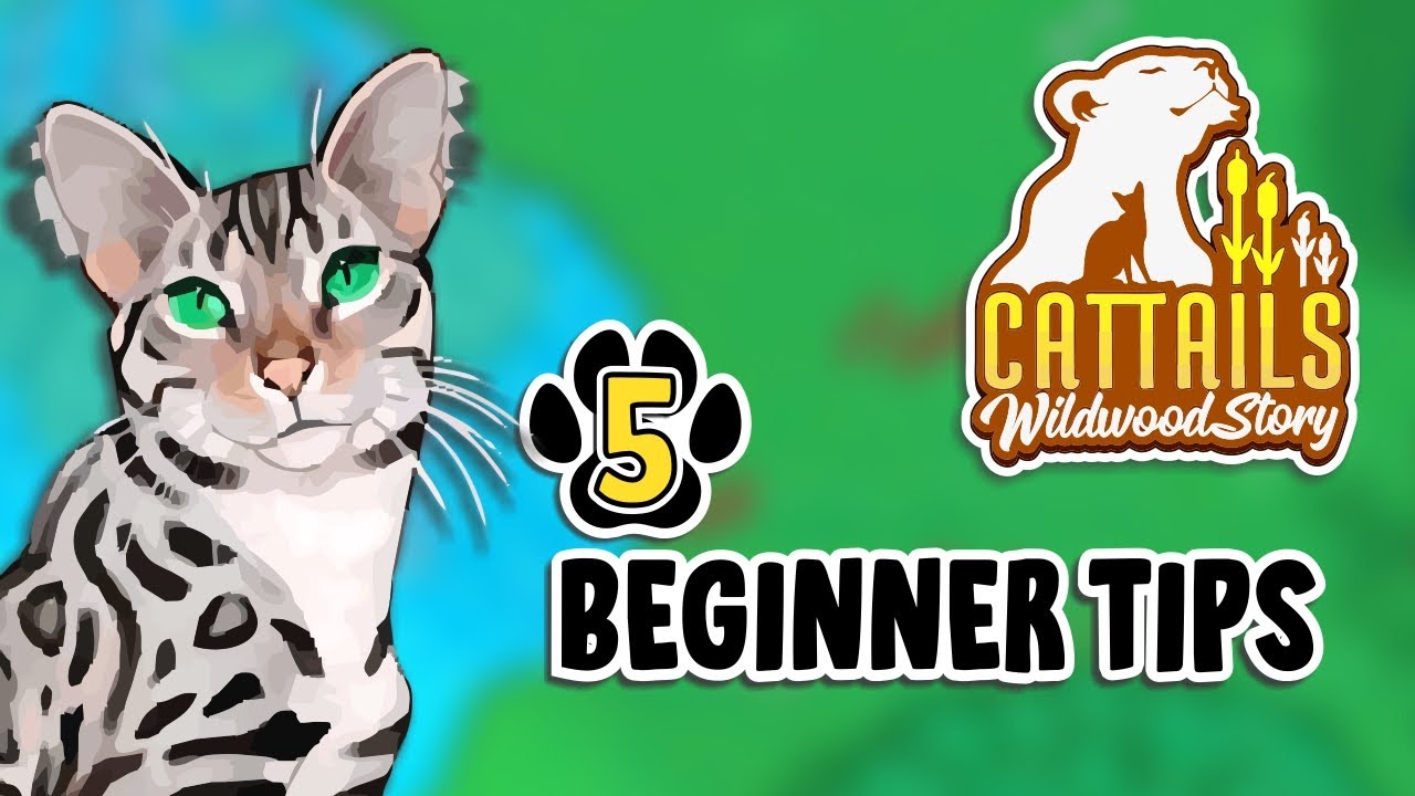 5 Tips I Wish I Knew BEFORE Playing Cattails Wildwood Story 🐈