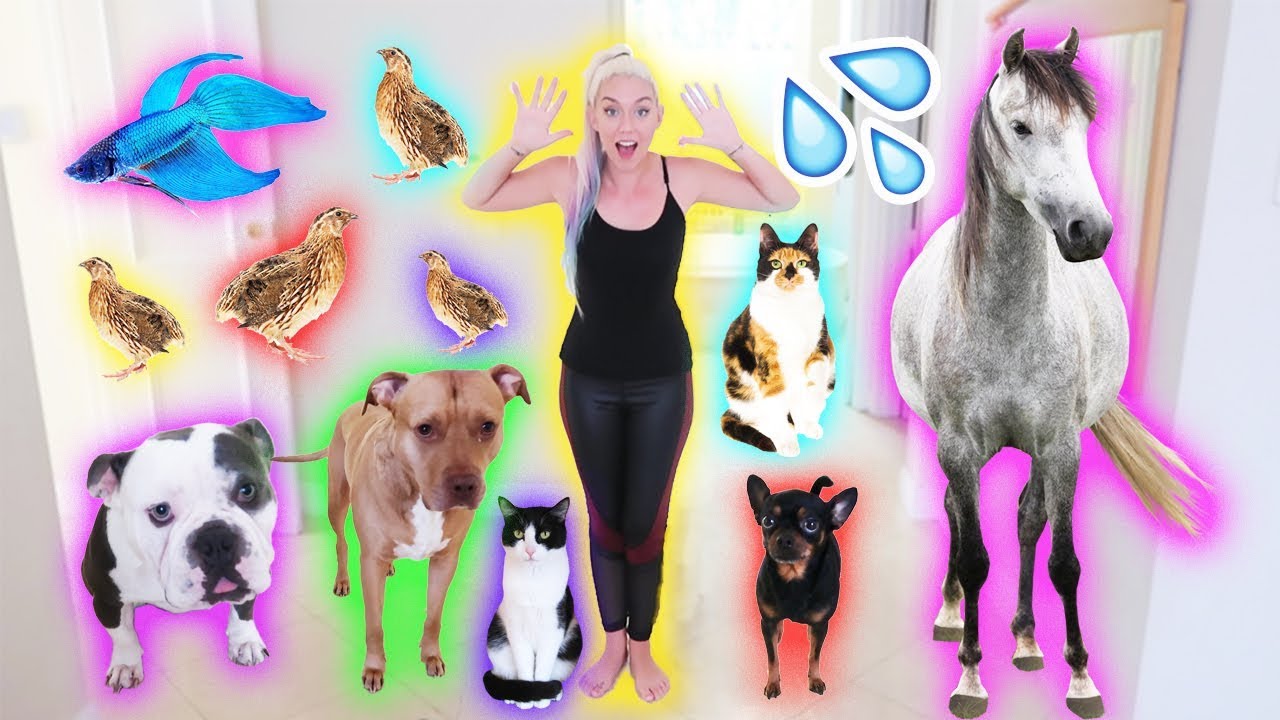 I GAVE ALL MY PETS A BATH! | NICOLE SKYES