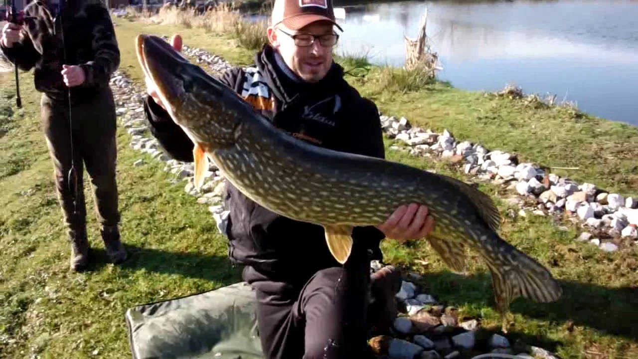 Partie de pêche au Brochet au Domaine du Poisson Rouge