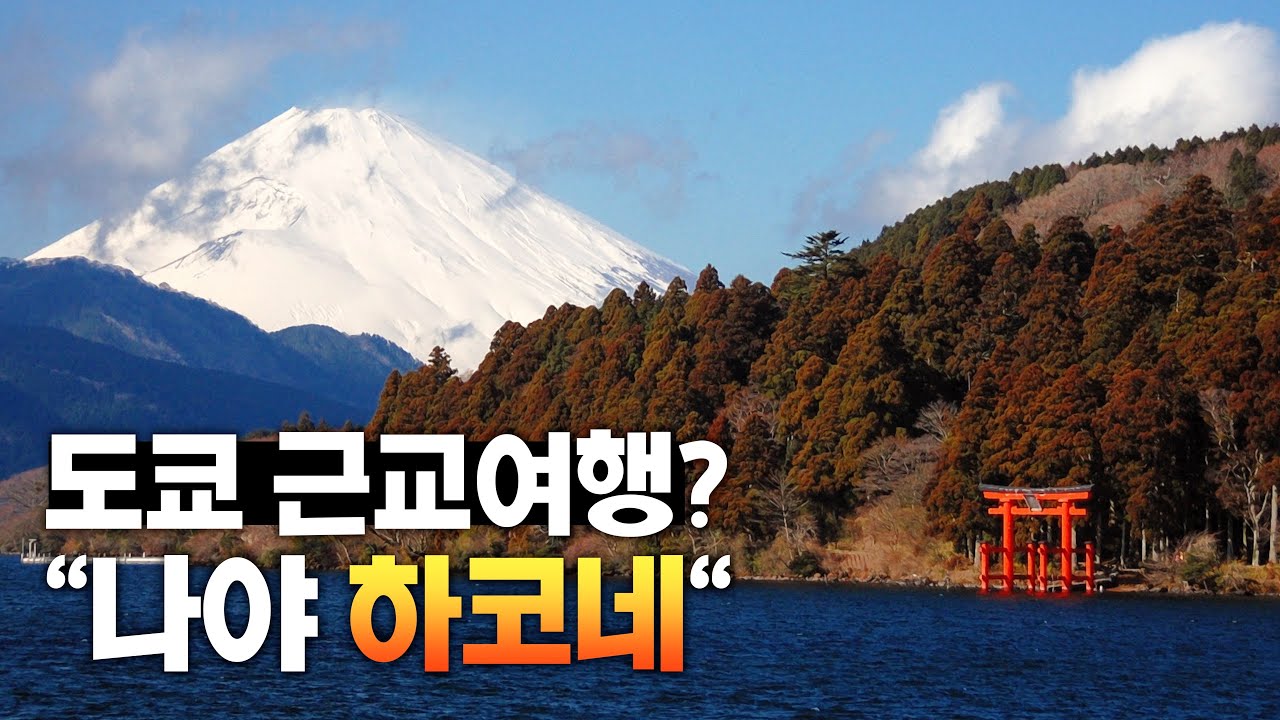 근데 이제 온천을 곁들인... ♨️ 도쿄 근교여행지 하코네 당일치기 완벽코스
