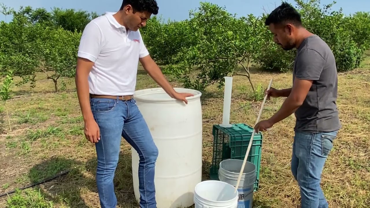Elaboración de Bio Fungicida para limón persa