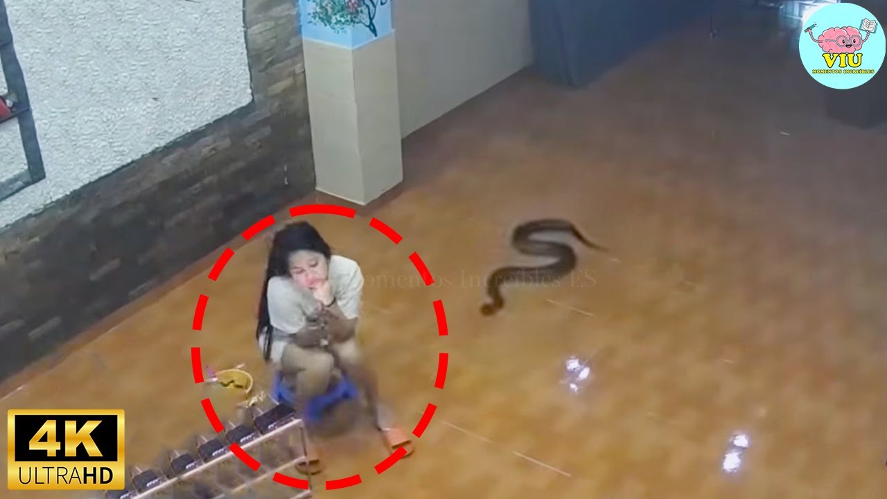 CÁMARA de SEGURIDAD GRABA Algo Que Nadie Debería Ver 😱 | 100 Momentos Inusuales Captados por CCTV