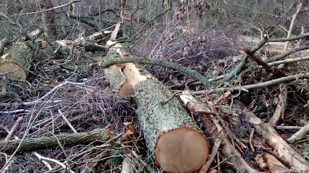 Draństwo leśne.Odc.192.