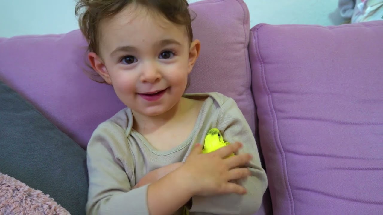 Budgie Timelapse: Watch Chicks Hatch & Transform into Happy Birds