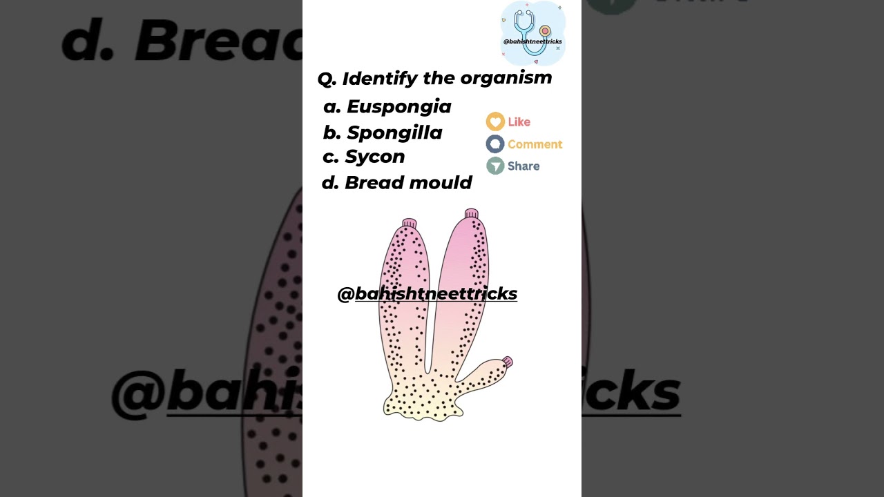 Animal kingdom 🎯🩺🥼#ncert #ncertquestions #neet #neetpyq #biology11 #biology #pw #quiz #exampractice
