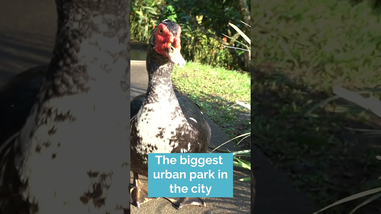 Incredible Parque de la Vida in Armenia, Colombia