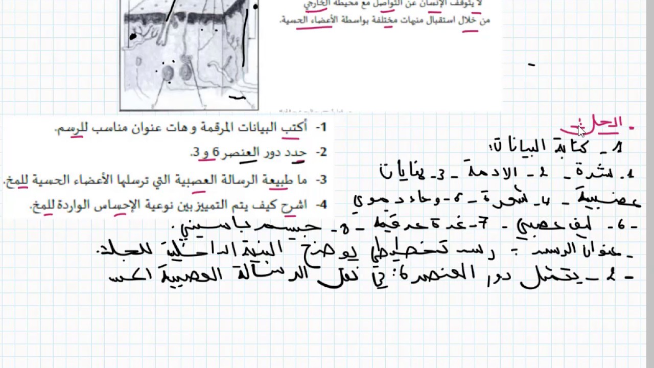 تمرين خاص ببنية الجلد و طبيعة الاشارات الكهربائية علوم الطبيعة و الحياة