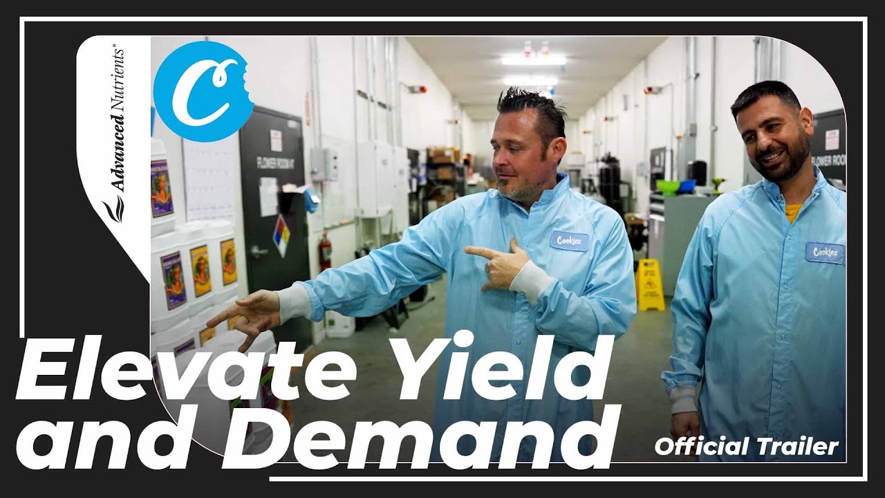 Experience the Difference: Cookies Elevates Yield and Demand! | Official Trailer