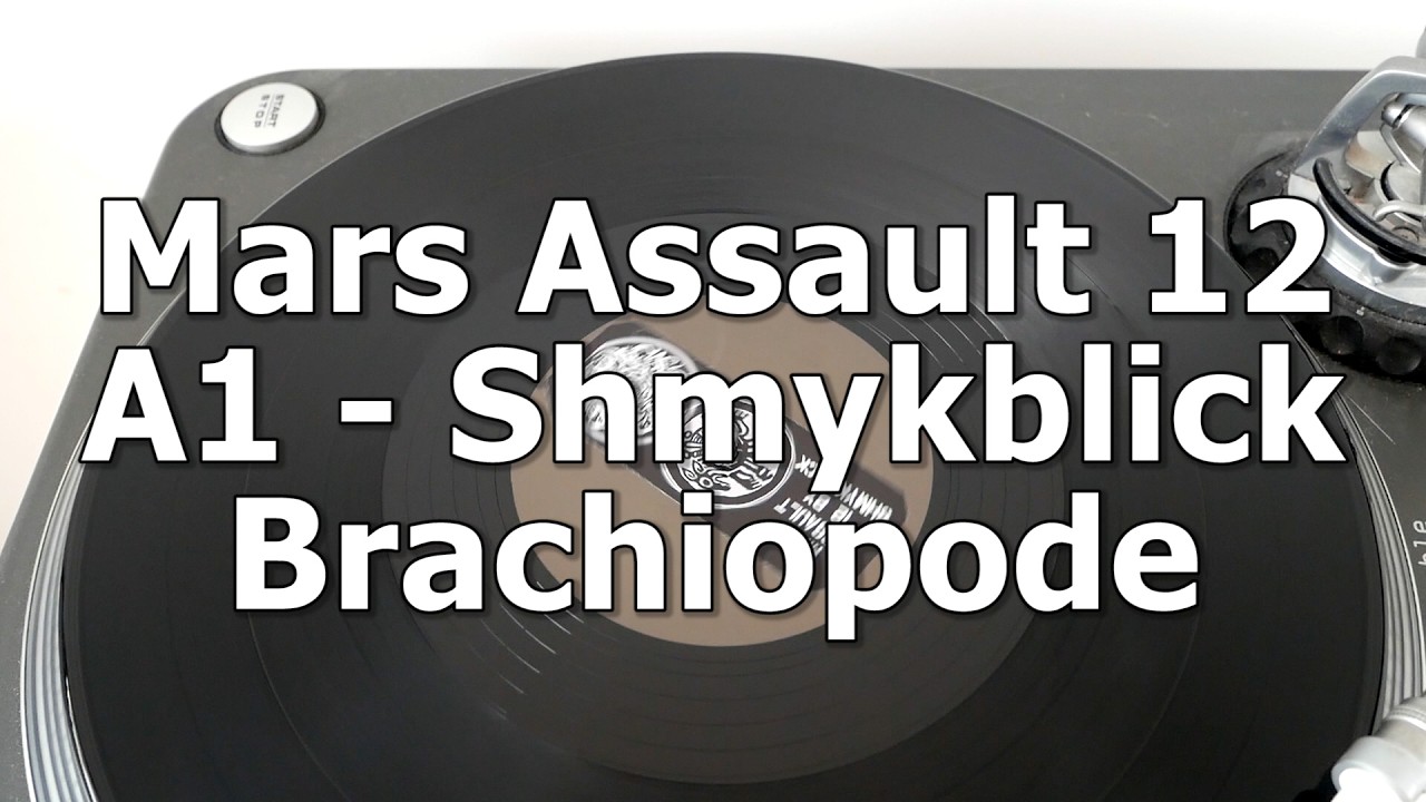 Mars Assault 12 - A1 - Shmykblick - Brachiopode