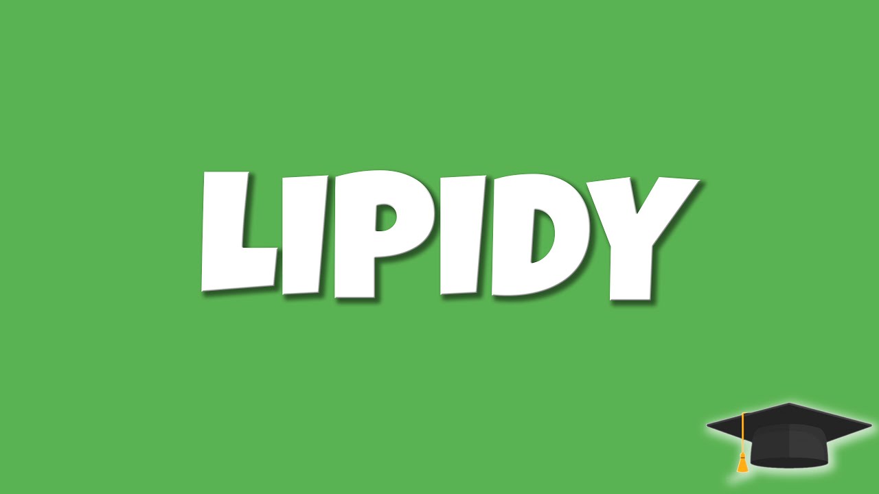 LIPIDY | BIOLOGIA KLASA 1