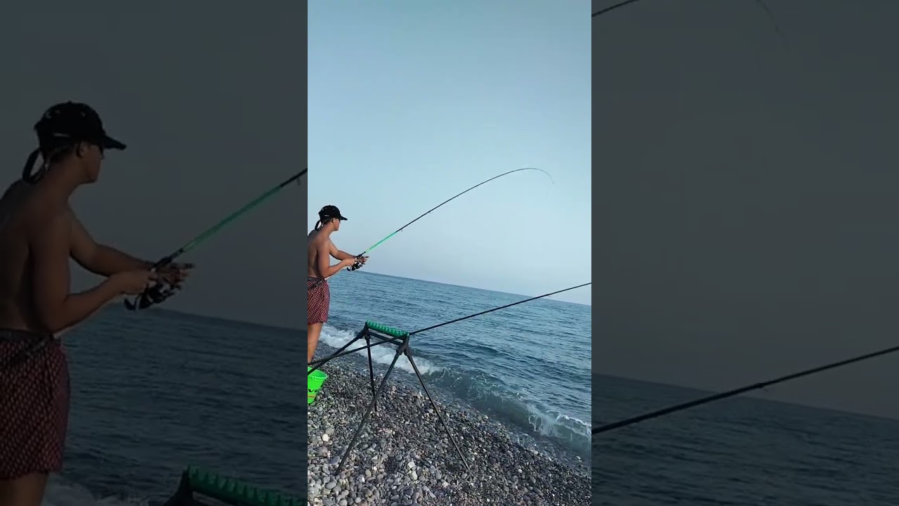 PESCA A METHOD FEEDER IN MARE