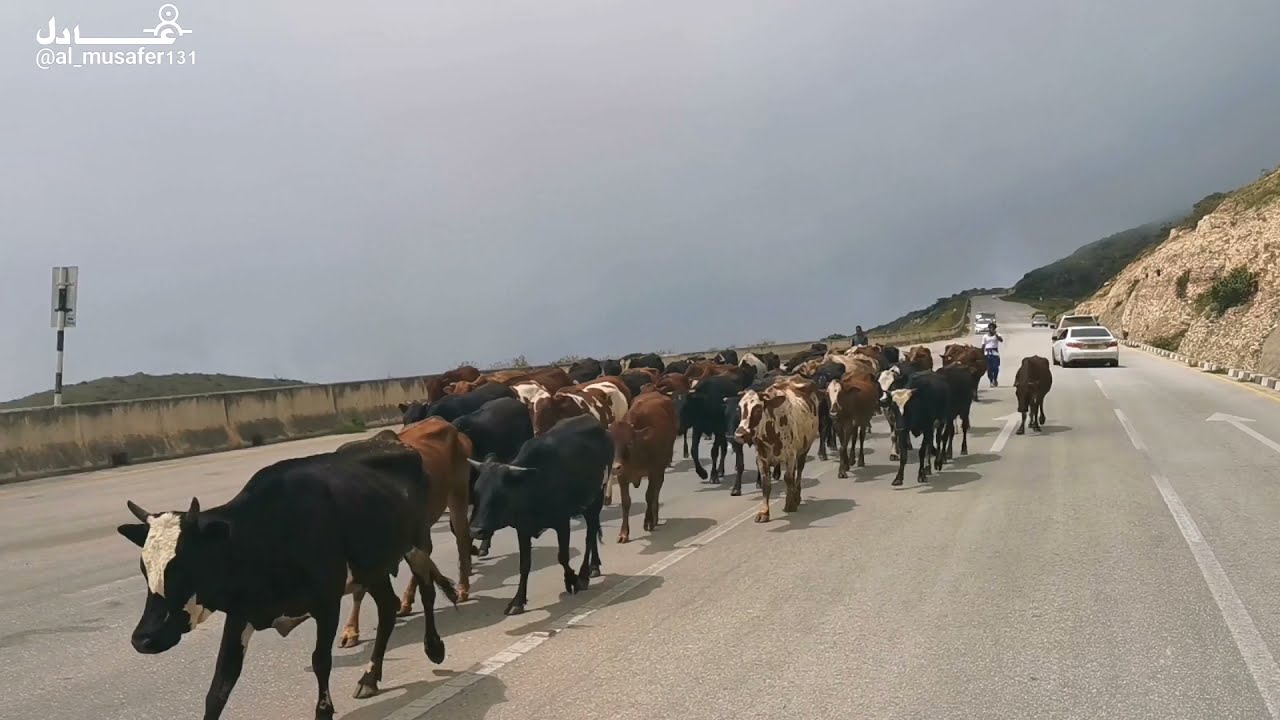 رحلة اليوم غرب صلالة .. شاطئ الفزايح.. ولاية رخيوت.. محافظة ظفار.. سلطنة عُمان.. rakhyut.. Oman