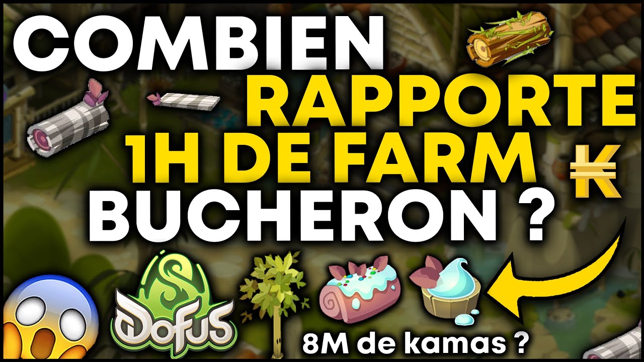 COMBIEN RAPPORTE 1 HEURE DE FARM BUCHERON SUR DOFUS 3 ?