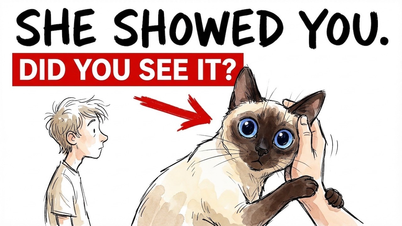 6 Things Cats Only Do With Their FAVORITE PERSON, And What They Really Mean