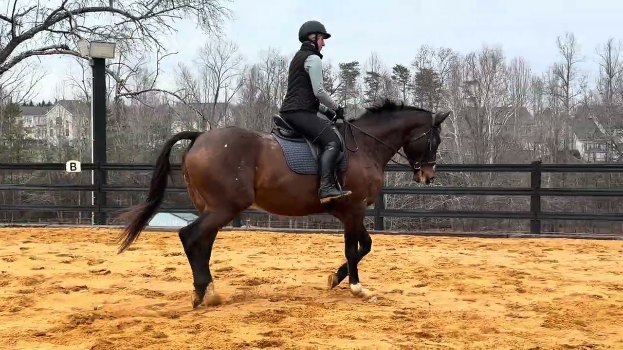 CFS Finnegan Jan 2026 